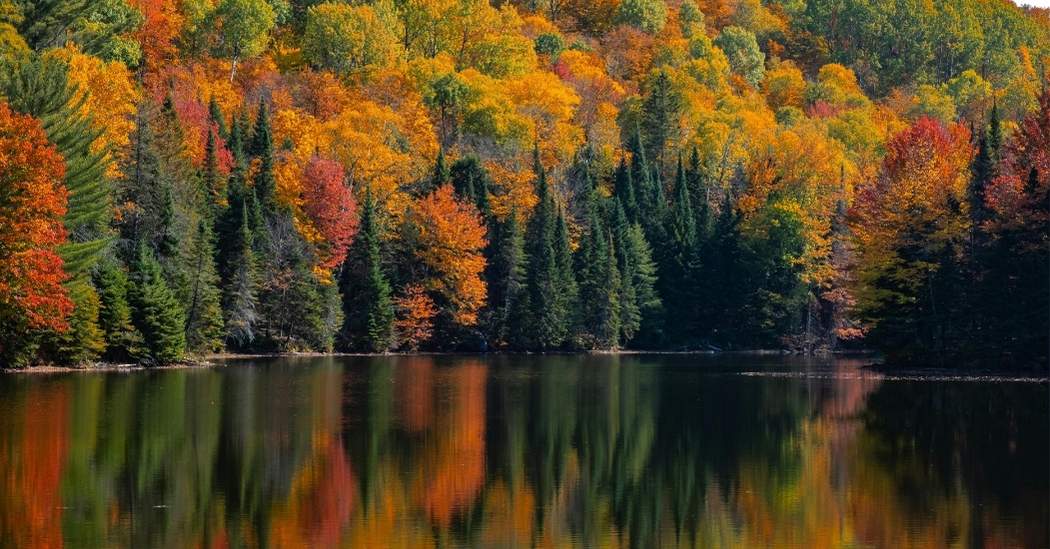 Visitors to Canada Insurance :  Why It’s Essential for a Safe Trip